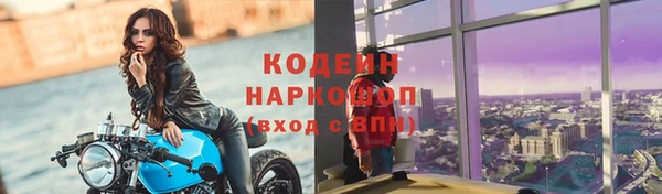 эйфоретик Алзамай