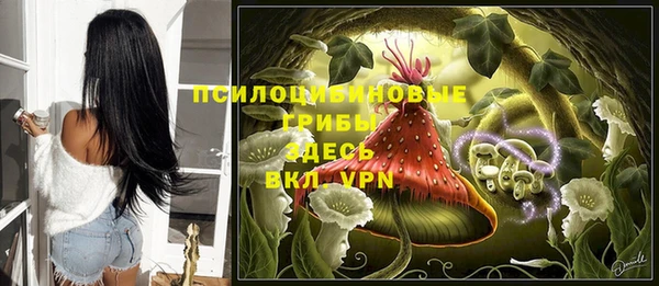 эйфоретик Алзамай