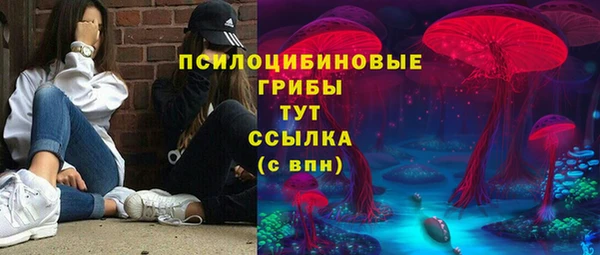 PSILOCYBIN Алексин