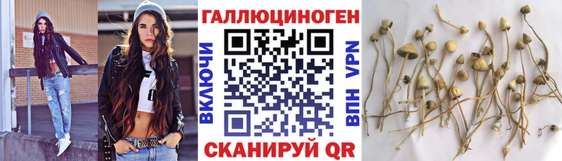 Псилоцибиновые грибы MAGIC MUSHROOMS  блэк спрут ONION  Абинск 
